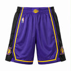 Los Angeles Lakers Basketball Mesh Shorts Regular Fit