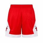 Chicago Bulls Michael Jordan #23Basketball Jersey & Short Set