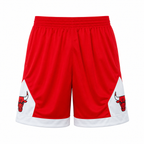 Chicago Bulls Michael Jordan #23Basketball Jersey & Short Set