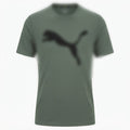 Men's Dri-Fit T-Shirt