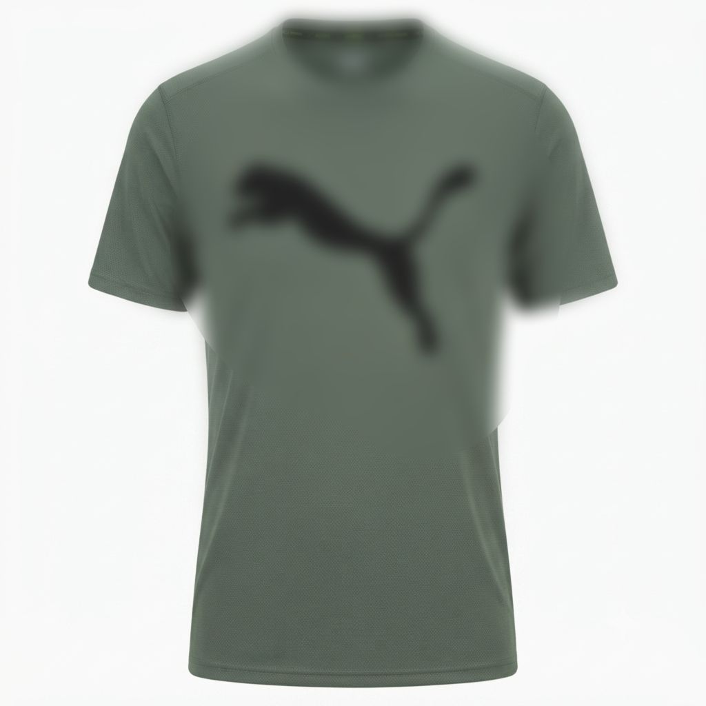 Men's Dri-Fit T-Shirt