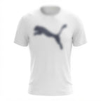 Men's Dri-Fit T-Shirt