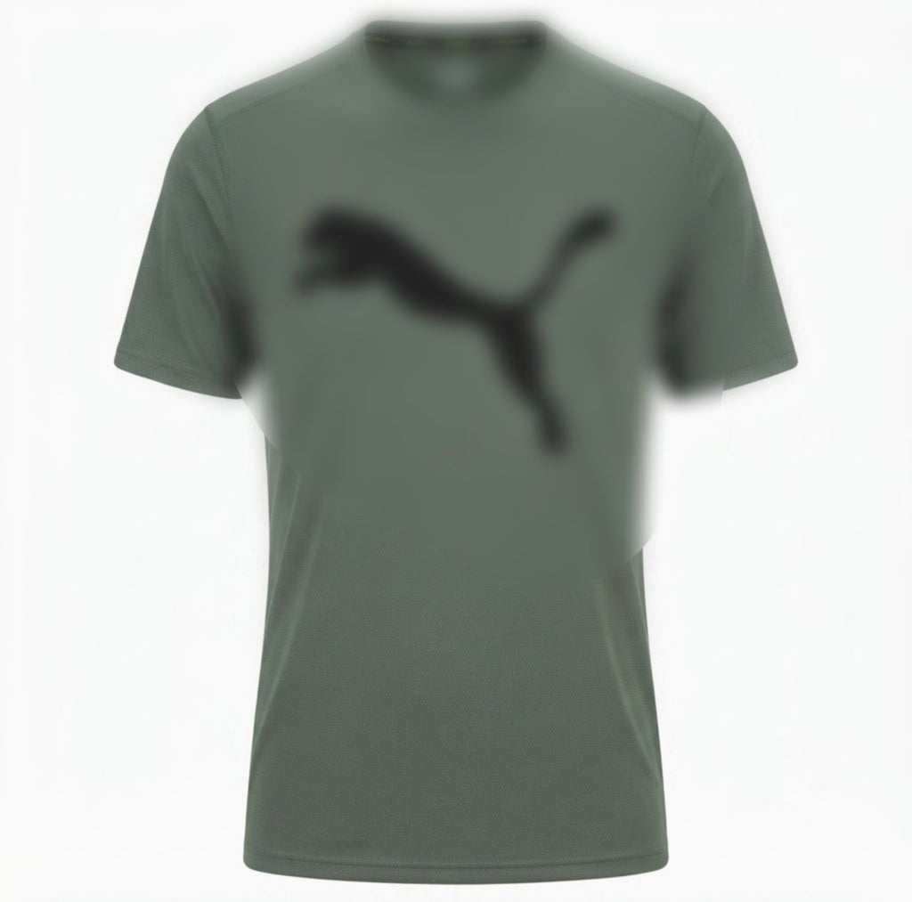 Men's Dri-Fit T-Shirt