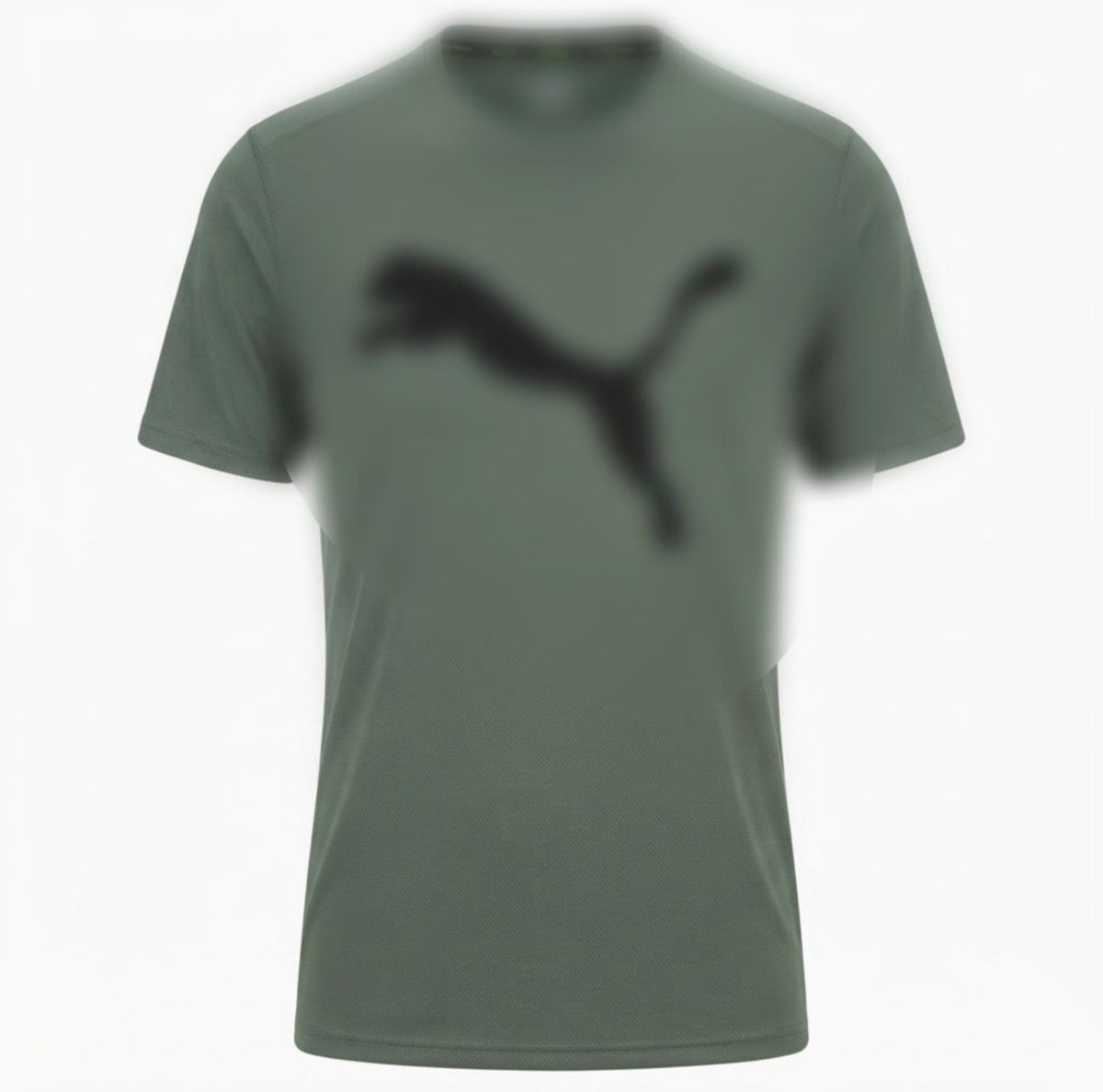 Men's Dri-Fit T-Shirt