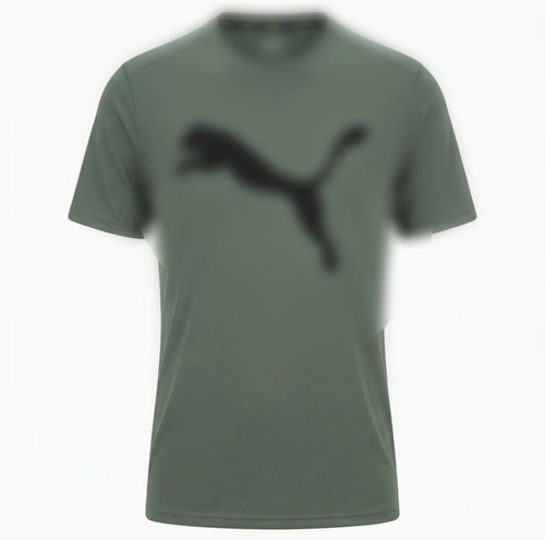 Men's Dri-Fit T-Shirt