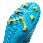 Nike Mercurial Vapor 14 Club FG/MG Football Shoes