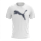 Men's Dri-Fit T-Shirt