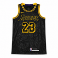 NBA Los Angeles Lakers Lebron James #23 Jersey-Regular Fit-