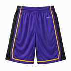 Los Angeles Lakers Basketball Mesh Shorts Regular Fit