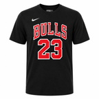 Chicago Bulls #23 Jordan Graphic Basketball T-Shirt Regular Fit