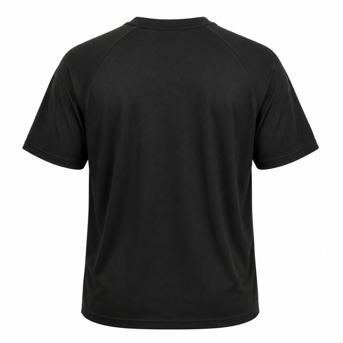 LeBron James Graphic Cotton T-Shirt Regular Size
