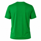 BOSTON CELTICS GRAPHIC LOGO T-SHIRT