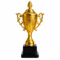 Classic Gold Championship Trophy Cup with Black Base (22cm)