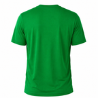 Boston Celtics Basketball Graphic T-Shirt -Regular Fit-