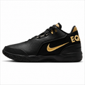 Lebron NXXT Gen AMPD Basketball Shoes